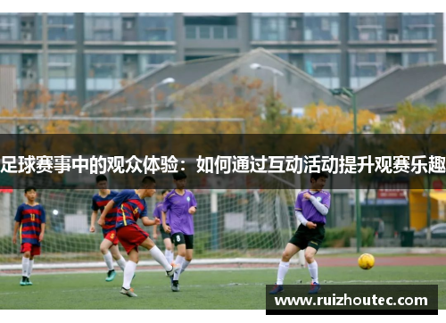 足球赛事中的观众体验：如何通过互动活动提升观赛乐趣