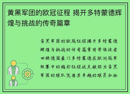 黄黑军团的欧冠征程 揭开多特蒙德辉煌与挑战的传奇篇章